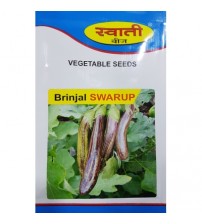 Brinjal Swarup 